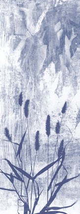 Framed Indigo Exposure III Print