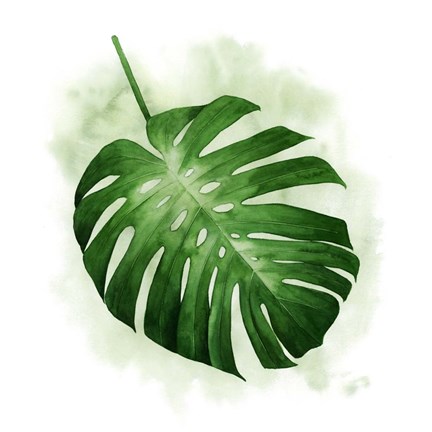 Framed Palm Wash I Print