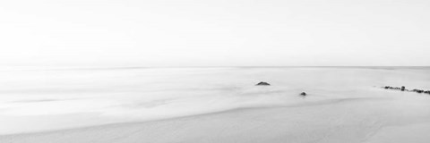 Framed Black &amp; White Water Panel II Print