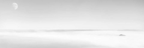 Framed Black &amp; White Water Panel XV Print