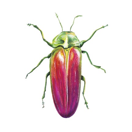 Framed Buggin Out II Print