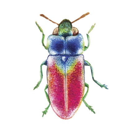 Framed Buggin Out III Print