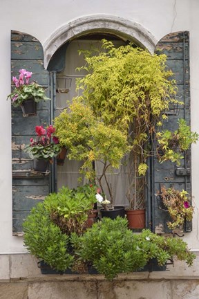 Framed Italian Window Flowers IV Print