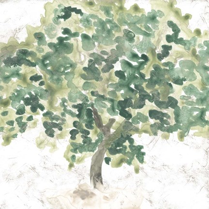 Framed Country Tree II Print