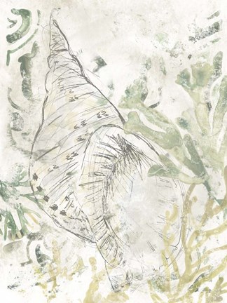 Framed Verdant Shell Fresco II Print