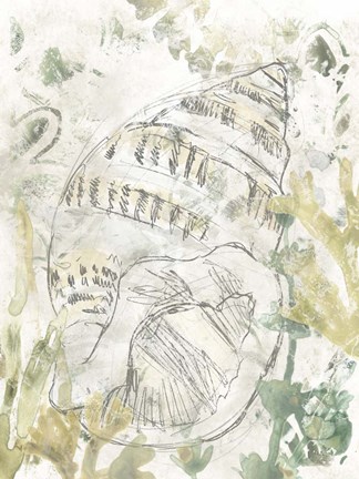 Framed Verdant Shell Fresco III Print