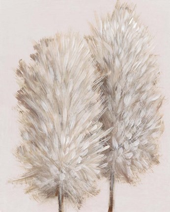 Framed Pampas Grass III Print