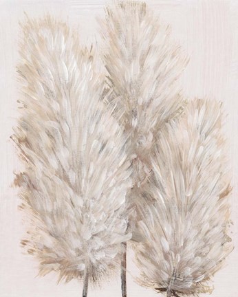 Framed Pampas Grass IV Print