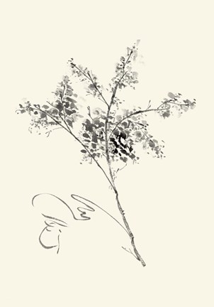 Framed Ink Wash Floral VII - Forsythia Print