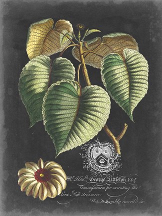 Framed Royal Foliage I Print