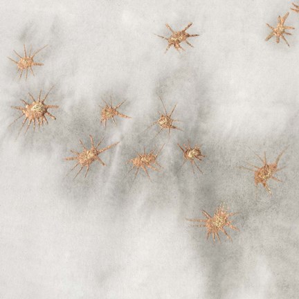 Framed Spangled Grey III Print