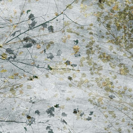 Framed Seasonal Transition I Print