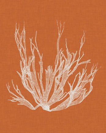 Framed Seaweed Pop I Print