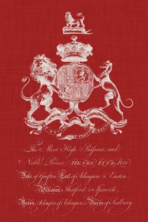 Framed Heraldry Pop I Print