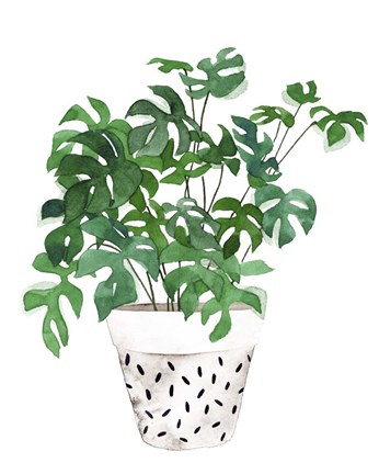 Framed Plant in a Pot IV Print