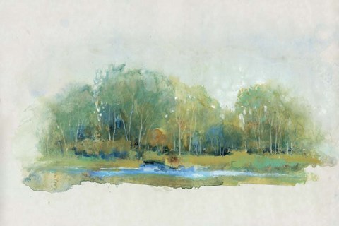 Framed Forest Vignette II Print