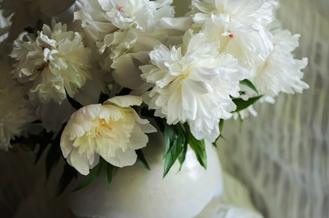 Framed White Peonies In Cream Pitcher 2 Print