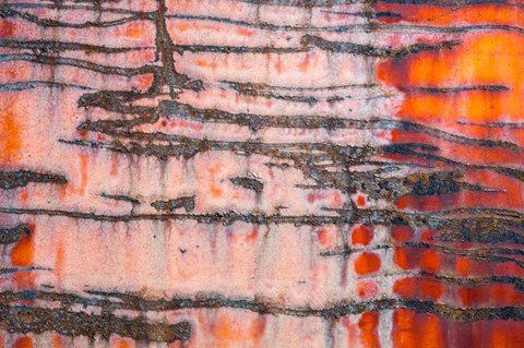 Framed Details Of Rust And Paint On Metal 3 Print