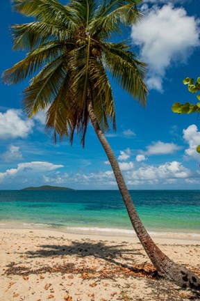 Framed Cramer Park Beach, St Croix, US Virgin Islands Print
