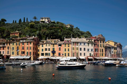 Framed Italy, Province Of Genoa, Portofino, Fishing Village On The Ligurian Sea, Pastel Buildings Overlooking Harbor Print