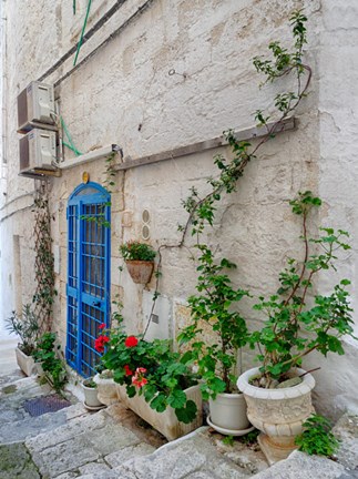 Framed Italy, Puglia, Brindisi, Itria Valley, Ostuni Blue Door And Potted Plants Print