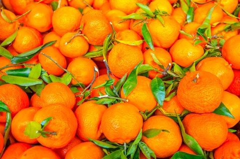 Framed Oranges Displayed In Market In Shepherd&#39;s Bush, Londo Print