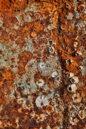Framed Old Wooden Fishing Boat Out Of Water, Detail Of Paint Crescent City, California Print