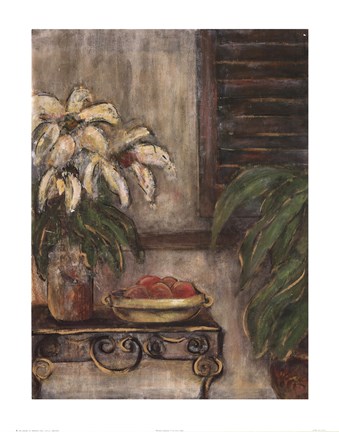 Framed Northern Exposure I Print