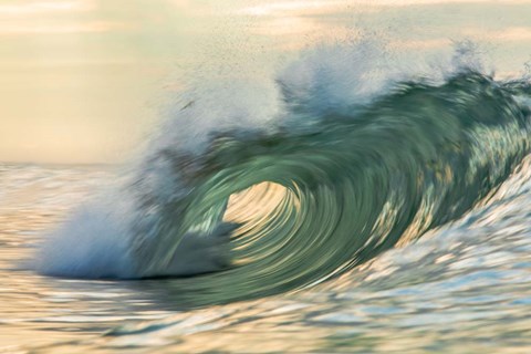 Framed Viridity Print