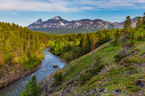 Framed South Fork Of The Two Medicine River In The Lewis And Clark National Forest, Montana Print