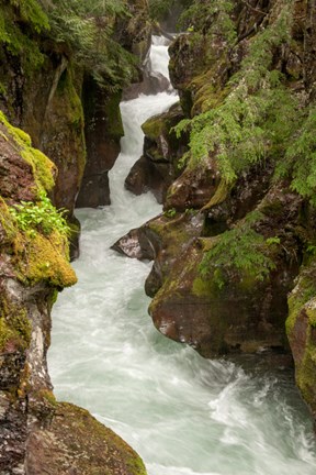 Framed Glacier National Park, Montana Avalanche Creek Print
