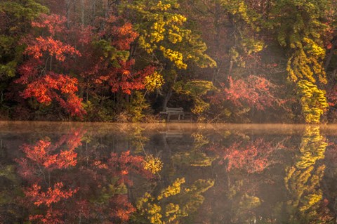 Framed New Jersey, Belleplain State Fores,t Autumn Tree Reflections On Lake Print