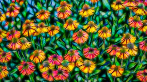 Framed Oregon, Coos Bay Abstract Of Flower Garden Print
