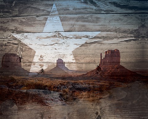 Framed Desert Star Print