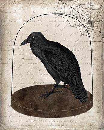 Framed Raven Jar Print