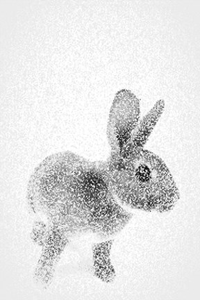 Framed White Bunny II Print