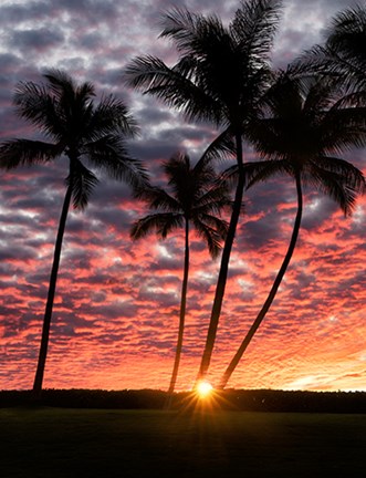 Framed Sunset Silhouette Print