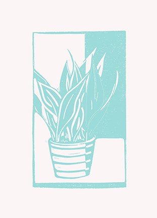 Framed Mint Snake Plant Print