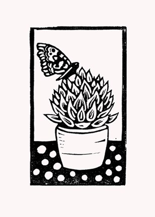 Framed Black Succulent Print