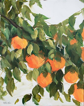 Framed Oranges Print