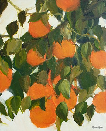 Framed Oranges Print