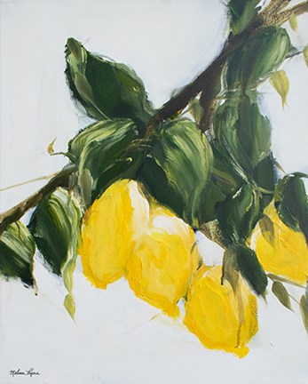 Framed Lemons Print