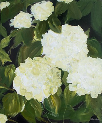 Framed White Hydrangeas Print