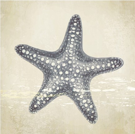 Framed Coastal III Print