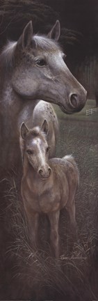 Framed Meredith&#39;s Tammy Print