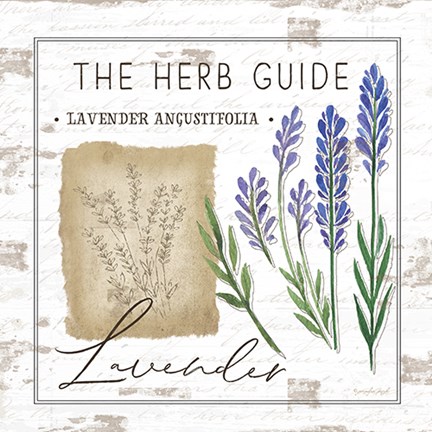 Framed Herb Guide - Lavender Print