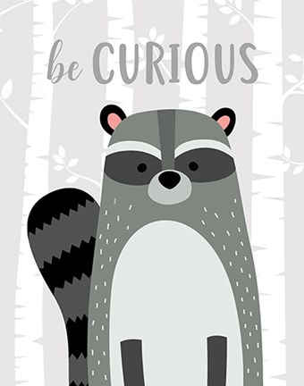 Framed Be Curious Raccoon Print