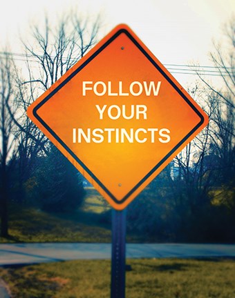 Framed Follow Your Instincts Print