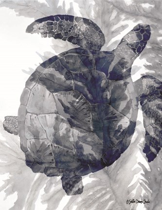 Framed Ocean Collection 3 Print