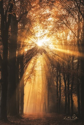 Framed Sunburst Print